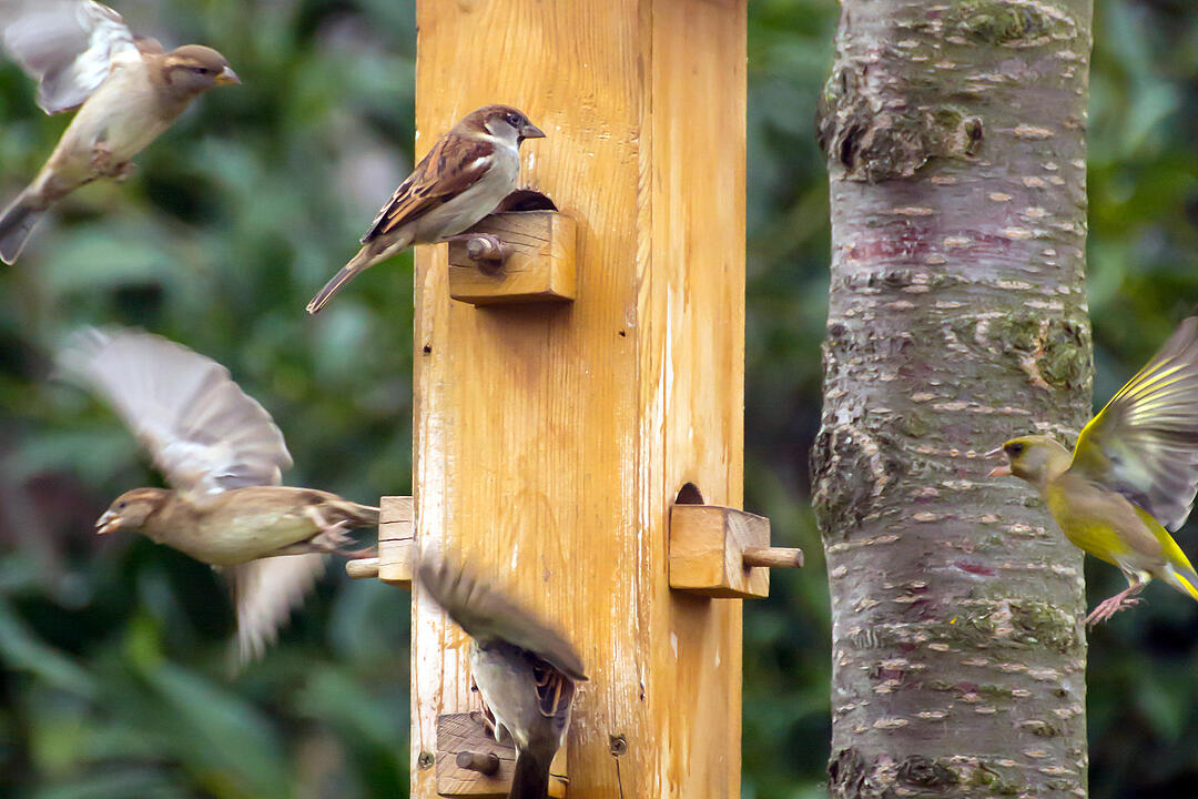 Fotos Konrad Thomann