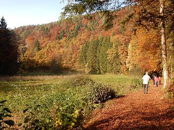 Wandern durchs Aufseßtal macht in toller Herbststimmung viel Freude.Reinhard Löwisch
