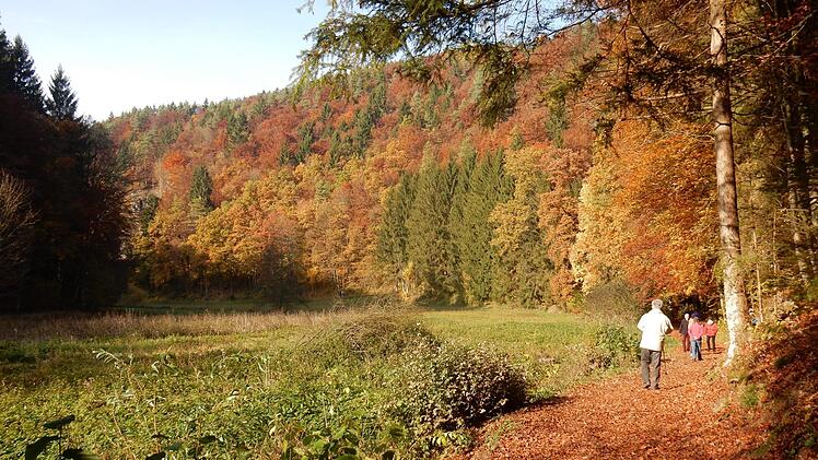 Wandern durchs Aufseßtal macht in toller Herbststimmung viel Freude.Reinhard Löwisch
