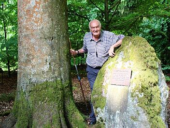 Die 250 Jahre alte "Inspektionsbuche" hat von Rainer Betz einen Gedenkstein bekommen, um den Reichtum der Wälder für die nachfolgende Generation sichtbar zu machen. Foto: Julia Raab