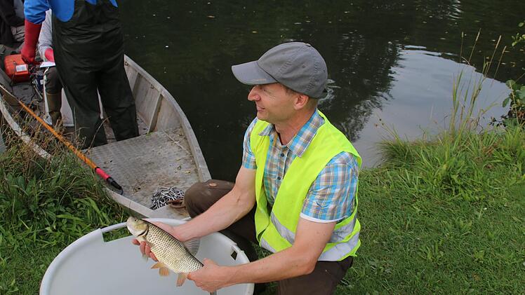 Die Fische wurden vermessen.