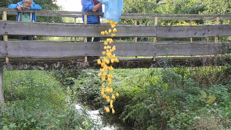 Vom, Starschuss kann ja wohl keine Rede sein.Foto: Helmut Will