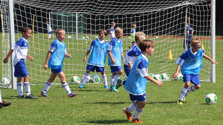 Voller Feuereifer und sehr aufmerksam beteiligen sich die jungen Fußballer an den einzelnen Übungen. Fotos: Hartmut Neubauer
