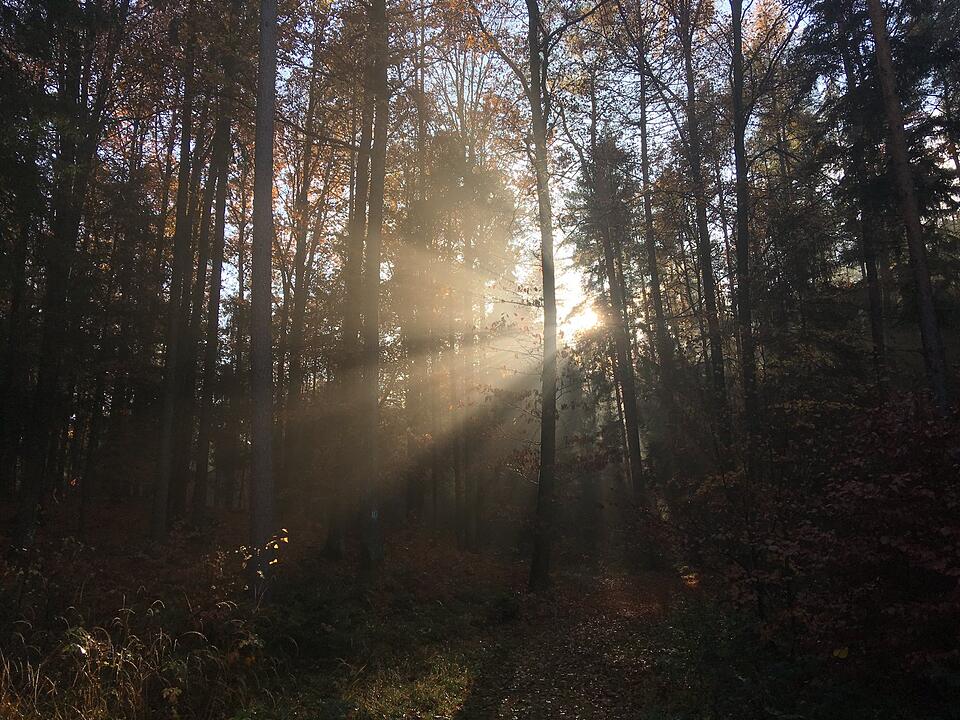 Die schönsten Fotos im Herbst aus Coburg und Umgebung