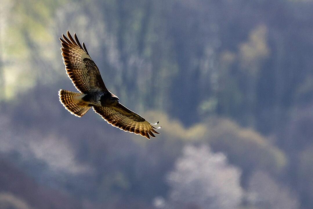 Freundliches Fr&uuml;hlingswetter