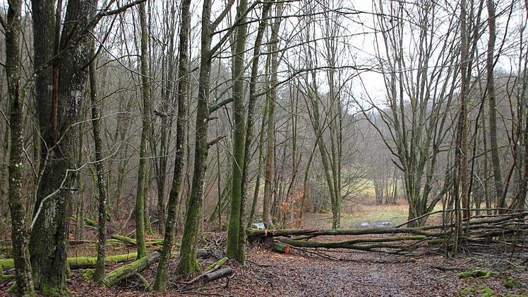 An dieser Stelle, rechts des Weges, stand das Sportheim. Foto: Ulrike Müller