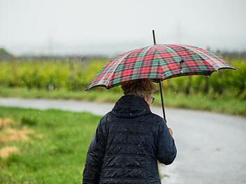Regenschauer