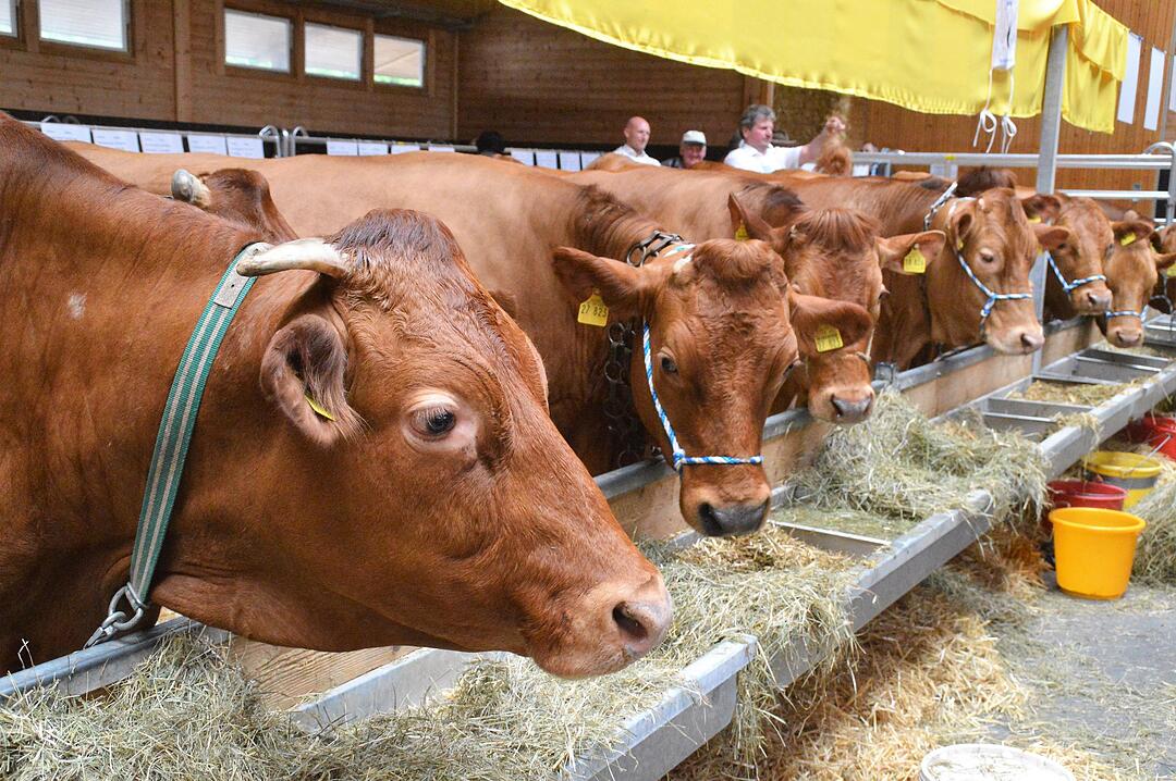 Lebendige Feuerwehrgeschichte