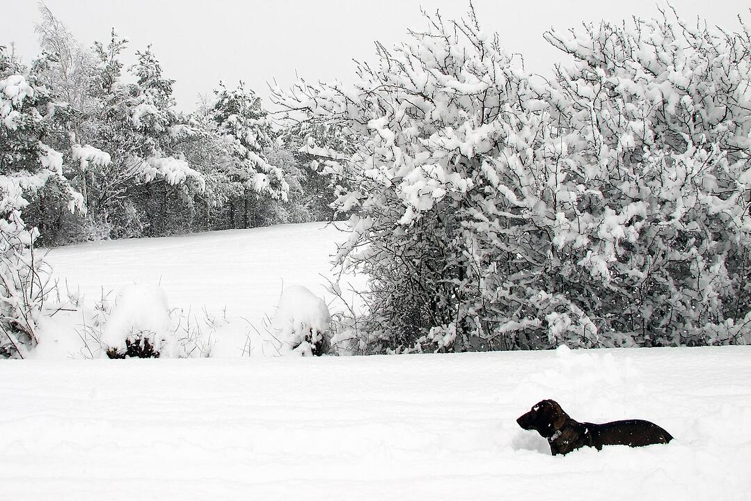 Fotos Konrad Thomann