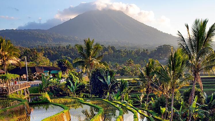 Beautiful sunrise over the Jatiluwih Rice Terraces against the background of spellbinding Mount Batukaru and Mount Agung in Tabanan, Bali. Indonesia  Wundersch&ouml;ner Sonnenaufgang &uuml;ber den Jatiluwih-Reisterrassen vor dem Hintergrund der faszinierenden Berge Batukaru und Agung in Tabanan, Bali. Indonesien