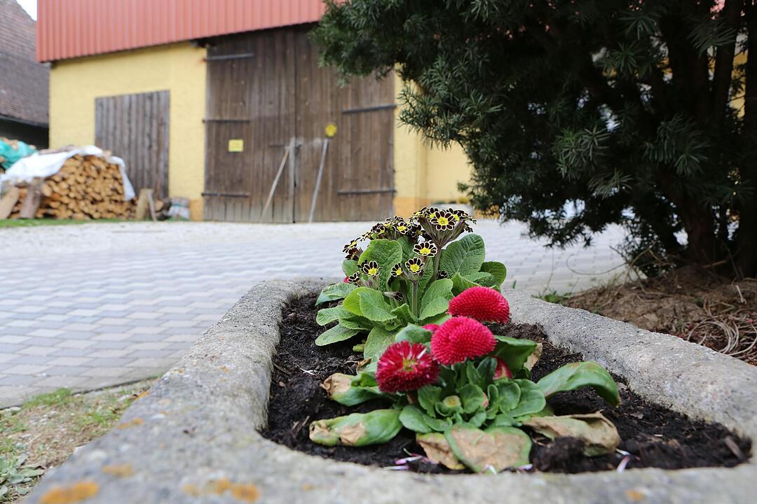 SoS Oberfellendorf im Lkr. Forchheim; Foto: Barbara Herbst