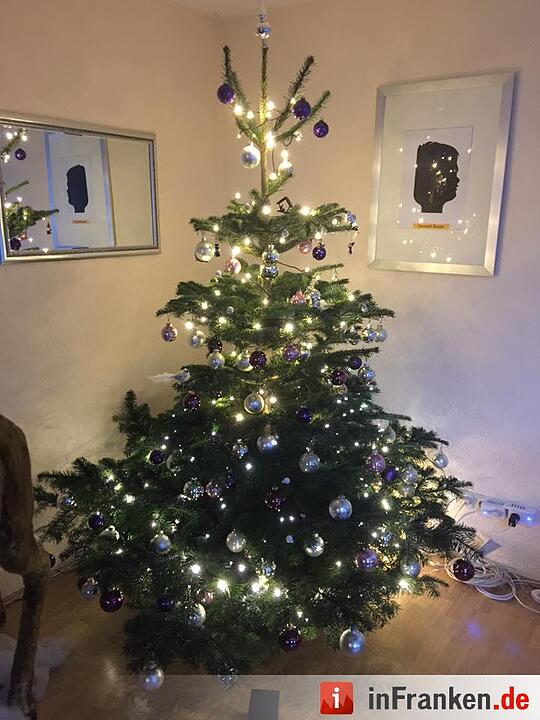 Weihnachten in Franken: Die Christbäume unserer Leser