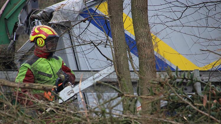 Derzeit laufen Rodungsarbeiten zwischen Kauerndorf und Untersteinach. Foto: Jürgen Gärtner