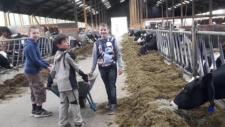 Alle packen mit an. Foto: Isabell Gerr