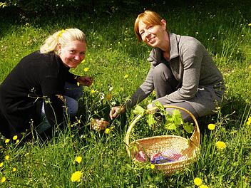 Tatjana Lörzer (Filke) und Petra Illner (Maßbach) beim Sammeln von Kräutern. Foto: Marion Eckert