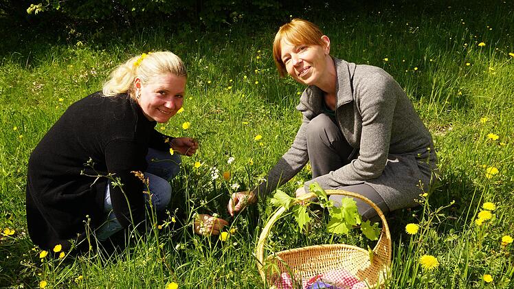 Tatjana Lörzer (Filke) und Petra Illner (Maßbach) beim Sammeln von Kräutern. Foto: Marion Eckert