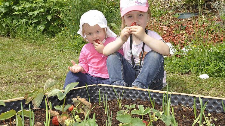 Auch wenn die Erdbeeren auf dem Beet nur drapiert waren und noch keine heimische Erdbeersaison ist - Vanessa und Julia schmeckten sie trotzdem. Foto: Peter Klopf
