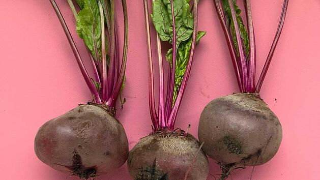 rote_beete-1.jpg