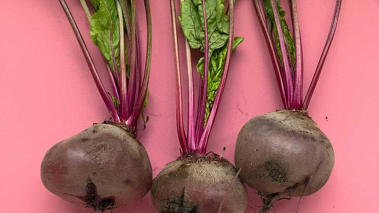rote_beete-1.jpg
