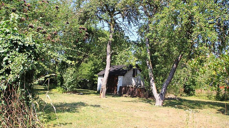 Der  Obstgarten neben dem Hartplatz  soll vorerst erhalten bleiben.  Foto: Andreas Dorsch