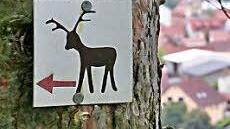 Gut ausgeschildert sind die neuen Wanderwege rund um Nüdlingen, zum Beispiel der Rehbockweg. Foto: Werner Vogel