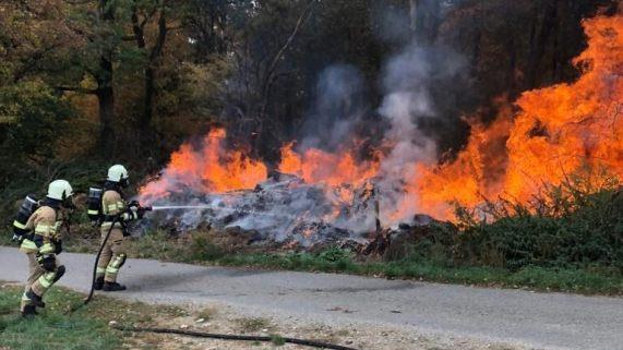 Meterhoch loderten die Flammen am und im Wald bei Wülflingen. Die Feuerwehren Wülflingen und Haßfurt verhinderten, dass sich das Feuer noch weiter ausbreitete. Foto: Julian Weidinger/FFW Haßfurt
