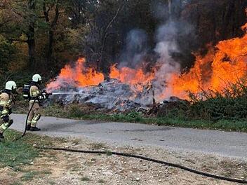 Meterhoch loderten die Flammen am und im Wald bei Wülflingen. Die Feuerwehren Wülflingen und Haßfurt verhinderten, dass sich das Feuer noch weiter ausbreitete. Foto: Julian Weidinger/FFW Haßfurt