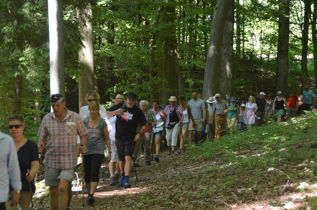 Landkreiswanderung 2017