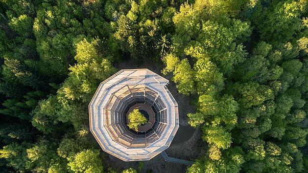 Ein Baumwipfelpfad wie hier im Steigerwald k&ouml;nnte auch in Nordhalben realisiert werden.  Foto: Archiv
