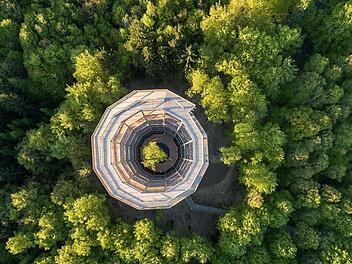 Ein Baumwipfelpfad wie hier im Steigerwald könnte auch in Nordhalben realisiert werden.  Foto: Archiv
