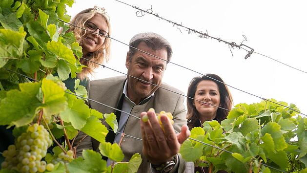 Die 65. Fr&auml;nkische Weink&ouml;nigin, Eva Brockmann (l.), leitet zusammen mit Bayerns Ministerpr&auml;sident Markus S&ouml;der und Agrarministerin Michaela Kaniber den offiziellen Start der Weinlese in Frankens Weinbergen ein.