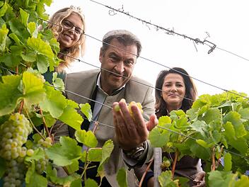 Die 65. Fränkische Weinkönigin, Eva Brockmann (l.), leitet zusammen mit Bayerns Ministerpräsident Markus Söder und Agrarministerin Michaela Kaniber den offiziellen Start der Weinlese in Frankens Weinbergen ein.