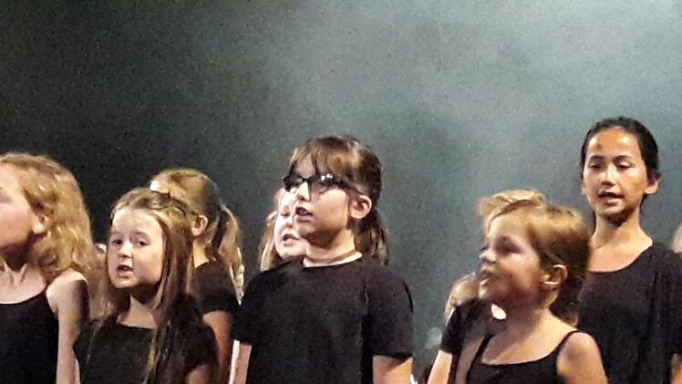 Kissinger Sommer Parade im Kurtheater von Bad Kissingen. Hartmut Hessel