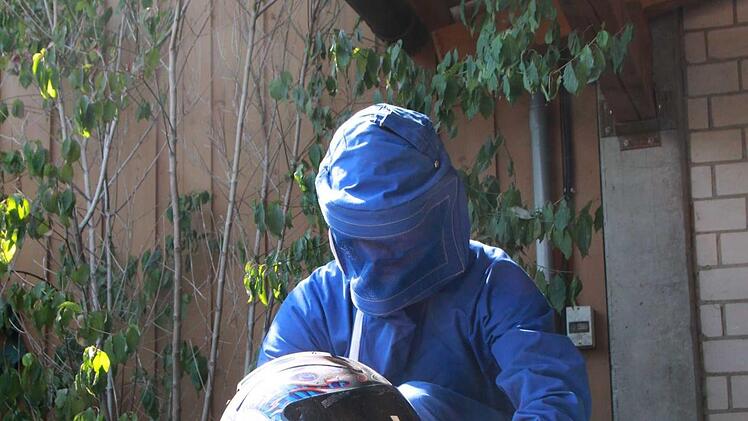Hornissen-Nest im Motorradhelm: Claus Schenk hat für den ungewöhnlichen Bau einen besseren Platz gefunden. Foto: Carmen Schmitt