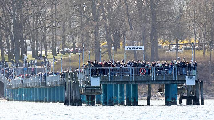 Buckelwal liegt weiter in Wismarbucht