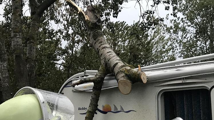 Im Innern ragt ein armdicker Ast bis auf den Boden.  Foto: Michael Busch