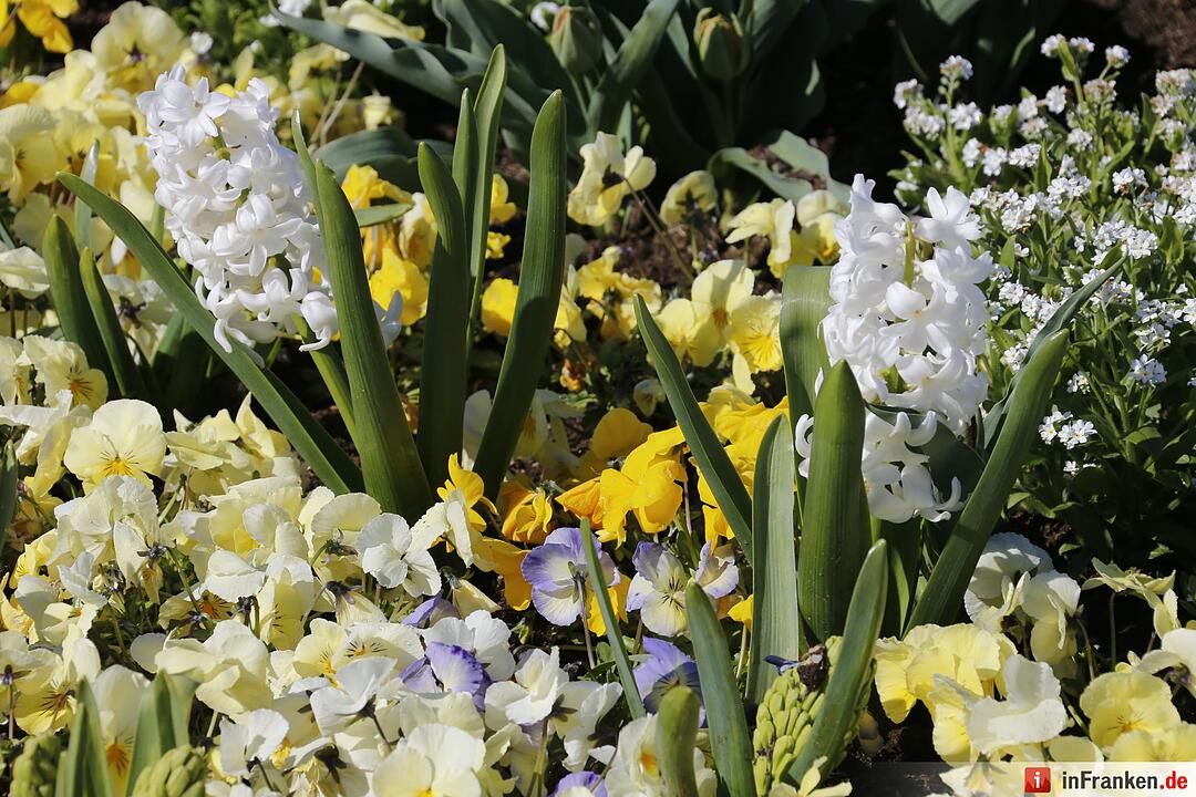 Blumen und mehr: Die Landegartenschau 2016 Bayreuth
