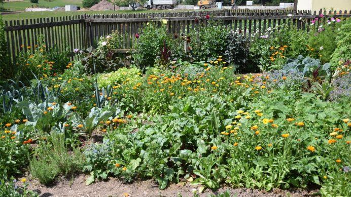 Eindrücke von der Gartenschau in Schönderling. Foto: Horst Conze