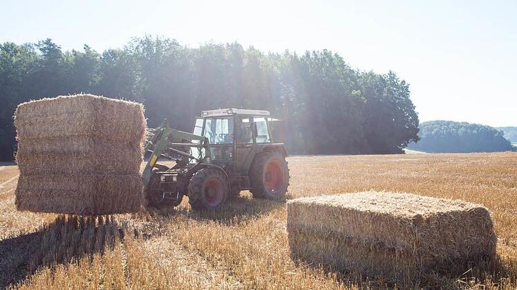 Schlechte Stimmung in der Landwirtschaft räumte Agrarministerin Michaela Kaniber beim Vortrag in Forchheim ein.  Symbolfoto: Barbara Herbst/Archiv