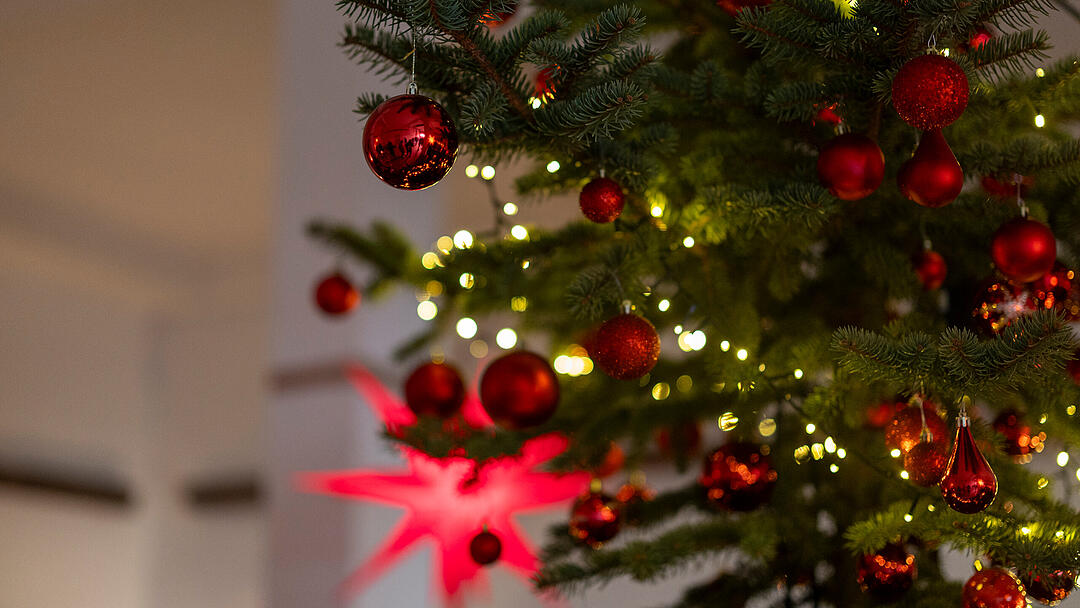 R&ouml;delsee, Traditioneller Weihnachtsmarkt rund um das Schloss