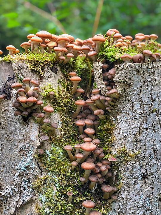 Die schönsten Fotos im September aus Kronach und Umgebung
