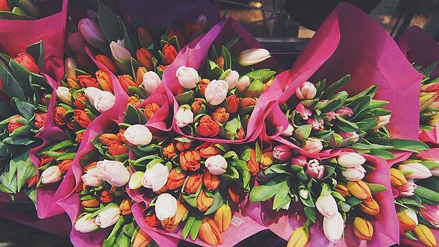 Symbolbild: Blumen