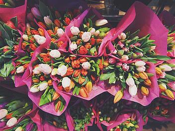 Symbolbild: Blumen