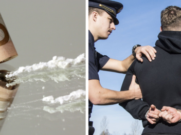 In der Seitenwand des Kofferraums wurden zwei Pakete mit jeweils mehr als einem Kilogramm Kokain mit einem Gesamtgewicht von 2.190 Gramm gefunden.