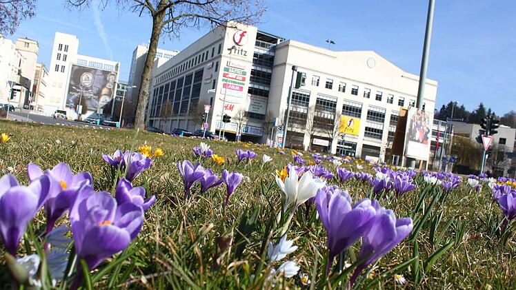 Die Krokusse sprießen wie hier vor dem Einkaufszentrum "Fritz".  Foto: Jürgen Gärtner