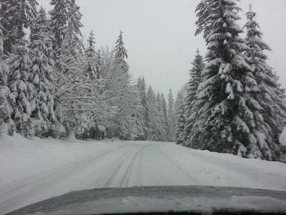 Schnee und Eis - Die schönsten Aufnahmen aus Franken