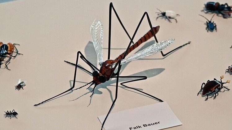 Gläserne Insekten von Falk Bauer