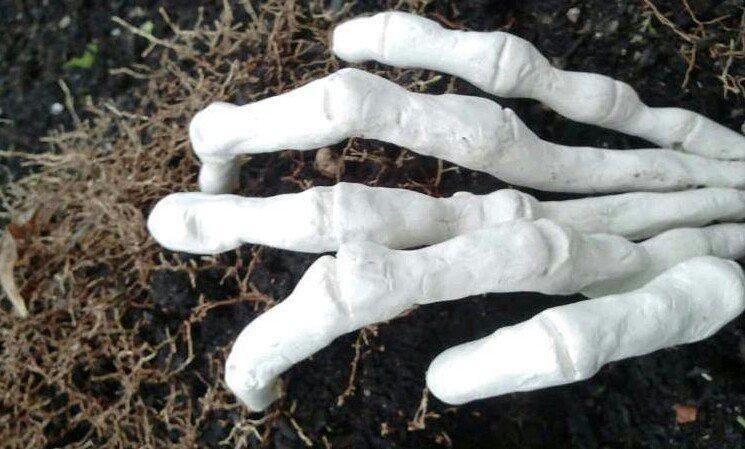 Die schönsten Halloweenfotos auf inFranken.de