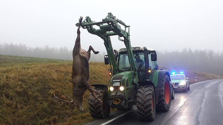 Der Hirsch überlebte den Unfall nicht. Polizei Mellrichstadt