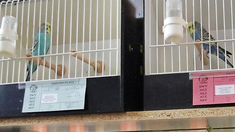 Morgen und übermorgen ist die Vogelschau in Mitwitz für insgesamt 14 Stunden geöffnet. Foto: Heike Schülein, Archiv
